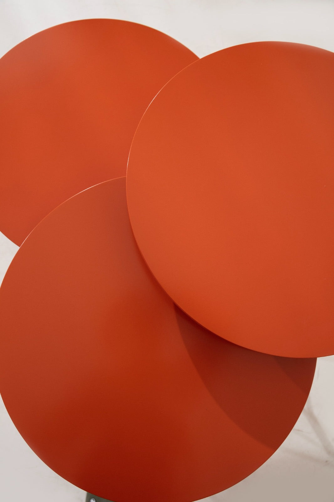CORA ZİGON